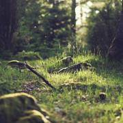 快速的充值网站求的短信轰炸机网页版在线