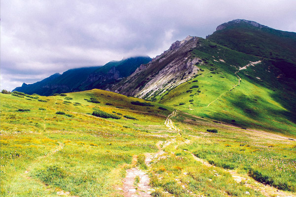 授权网站快速的短信压测工具